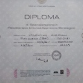Ingrandire l'immagine: certificate 9