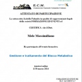 Ingrandire l'immagine: certificate 4