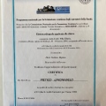 Ingrandire l'immagine: certificate 20