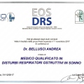 Ingrandire l'immagine: certificate 1