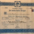 Ingrandire l'immagine: certificate 4