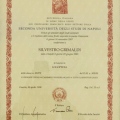 Ingrandire l'immagine: certificate 5