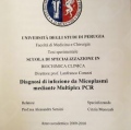Ingrandire l'immagine: certificate 2