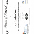 Ingrandire l'immagine: certificate 8
