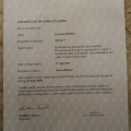 Ingrandire l'immagine: certificate 2