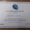 Ingrandire l'immagine: certificate 13