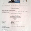 Ingrandire l'immagine: certificate 9