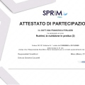 Ingrandire l'immagine: certificate 6