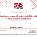 Ingrandire l'immagine: certificate 4