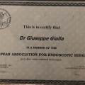Ingrandire l'immagine: certificate 4