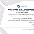Ingrandire l'immagine: certificate 2
