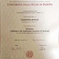 Ingrandire l'immagine: certificate 1