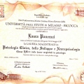 Ingrandire l'immagine: certificate 2