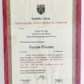 Ingrandire l'immagine: certificate 1
