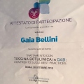 Ingrandire l'immagine: certificate 21