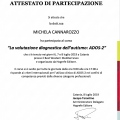 Ingrandire l'immagine: certificate 6