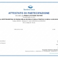 Ingrandire l'immagine: certificate 2