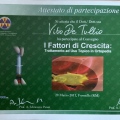 Ingrandire l'immagine: certificate 10