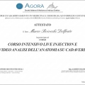 Ingrandire l'immagine: certificate 1