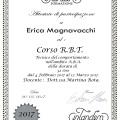 Ingrandire l'immagine: certificate 1