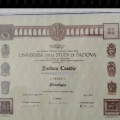 Ingrandire l'immagine: certificate 1
