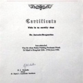 Ingrandire l'immagine: certificate 9