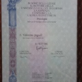 Ingrandire l'immagine: certificate 8