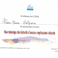 Ingrandire l'immagine: certificate 14