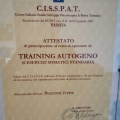 Ingrandire l'immagine: certificate 5