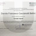 Ingrandire l'immagine: certificate 1