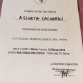 Ingrandire l'immagine: certificate 14