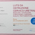 Ingrandire l'immagine: certificate 17
