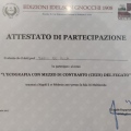 Ingrandire l'immagine: certificate 9