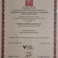 Ingrandire l'immagine: certificate 2