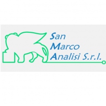 SAN MARCO ANALISI S.R.L.