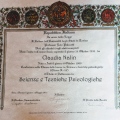 Ingrandire l'immagine: certificate 5