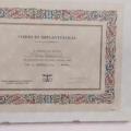 Ingrandire l'immagine: certificate 5