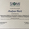 Ingrandire l'immagine: certificate 5