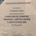 Ingrandire l'immagine: certificate 2