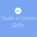 Studio Otorino Prof. GrilloCatania - 