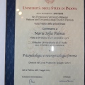 Ingrandire l'immagine: certificate 3