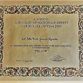 Ingrandire l'immagine: certificate 8