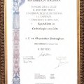 Ingrandire l'immagine: certificate 2
