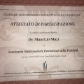 Ingrandire l'immagine: certificate 5