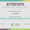 Ingrandire l'immagine: certificate 49