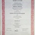 Ingrandire l'immagine: certificate 2