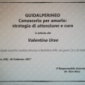 Ingrandire l'immagine: certificate 4