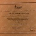 Ingrandire l'immagine: certificate 9