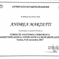 Ingrandire l'immagine: certificate 4