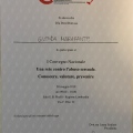 Ingrandire l'immagine: certificate 2